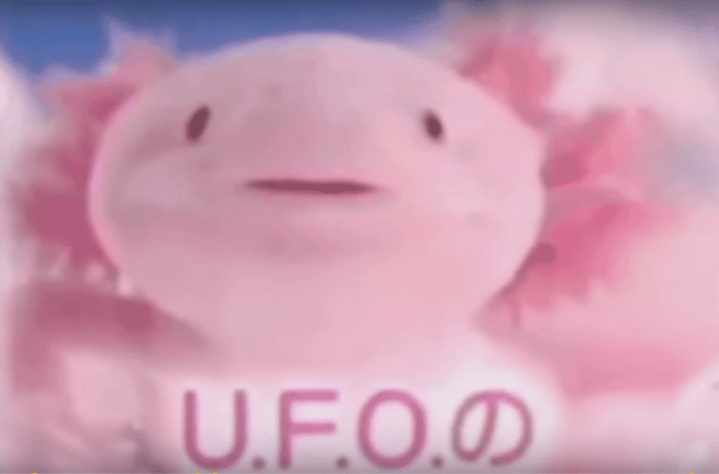 U F O