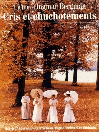 large_18P4mK6aeXADsPc9tIvPeztqrMi