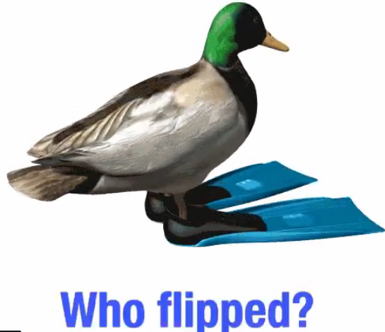 if it looks like a duck...dumb Fessy